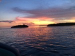 resIMG_20190702_050003_5649.JPG